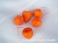 Umělý physalis (mochyně)...